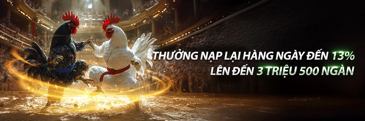 Đá Gà Trực Tuyến OK789 với Khuyến Mãi Hấp Dẫn 2026